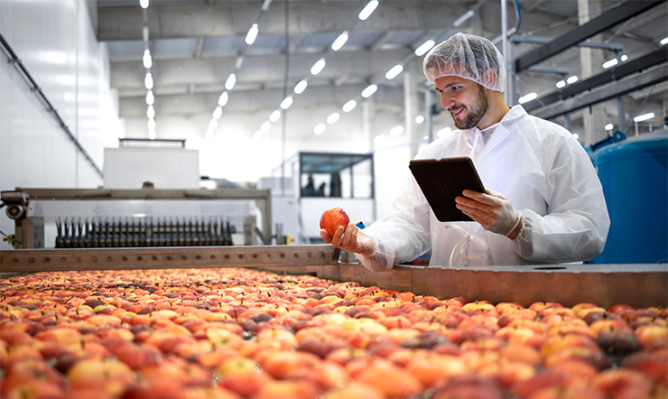 Make or Buy in the Food Industry: Strategic Considerations for Manufacturers