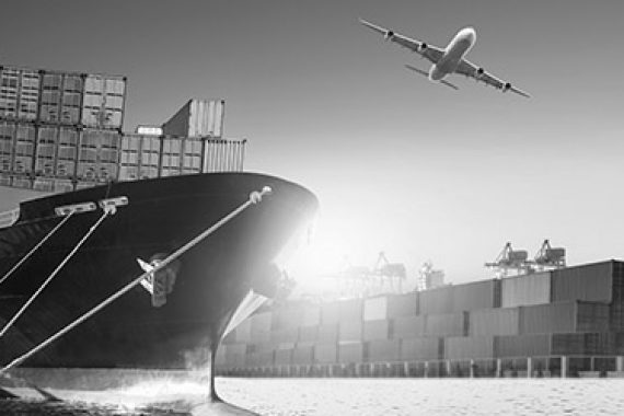 CS_0018_Freight reduction (ocean + air) - Global Automotive Supplier