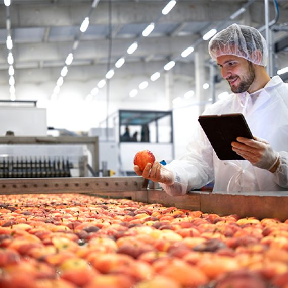 Make or Buy in the Food Industry: Strategic Considerations for Manufacturers